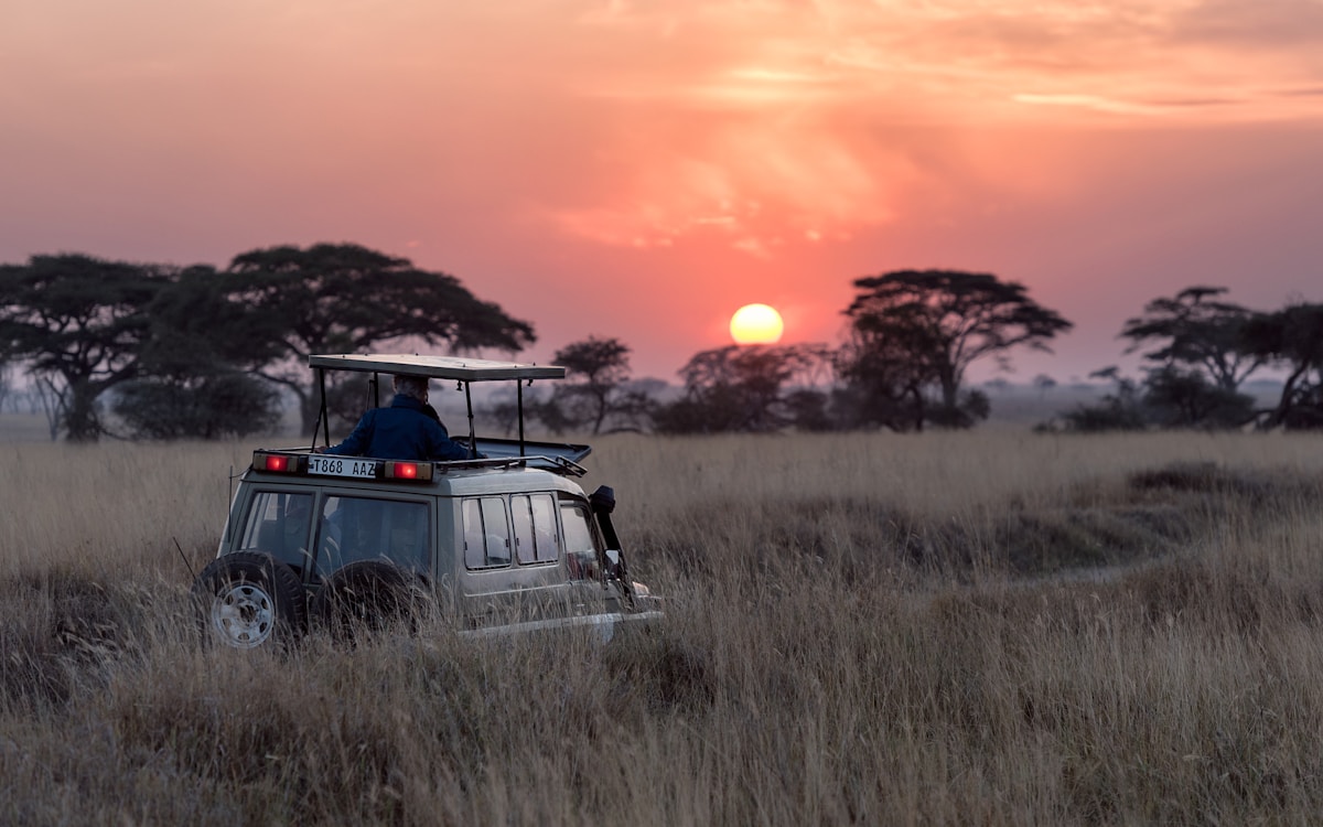 Kaziranga National Park Explorer — Assam